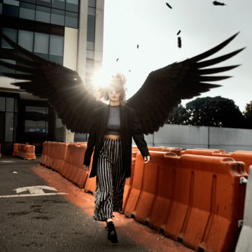 Пример кадра: Black Wing