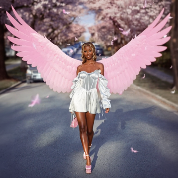 Пример кадра: Pink Wing