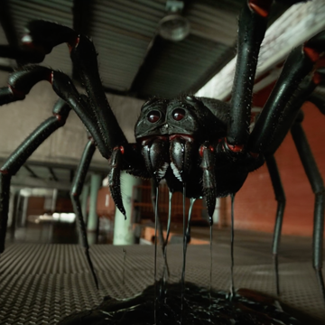 Пример кадра: Venomous Spider